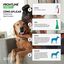 Frontline Combo Pipetas Antiparasitárias para cães médios, , large Indicador imagem número 4